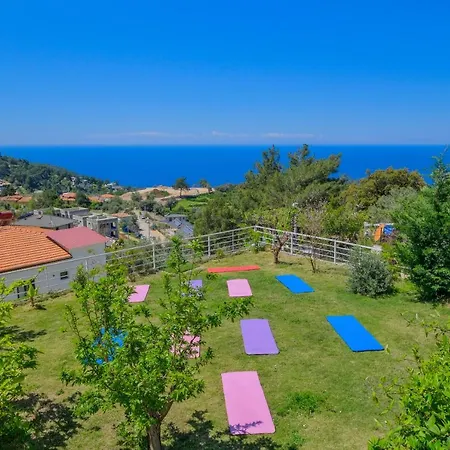 Hotel Highclere And (adults Only) Faralya