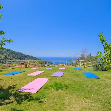 Hotel Highclere And (adults Only)